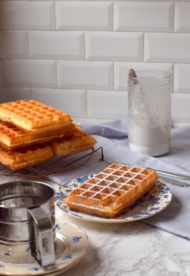 Single waffle iron - 4x6 Brussels